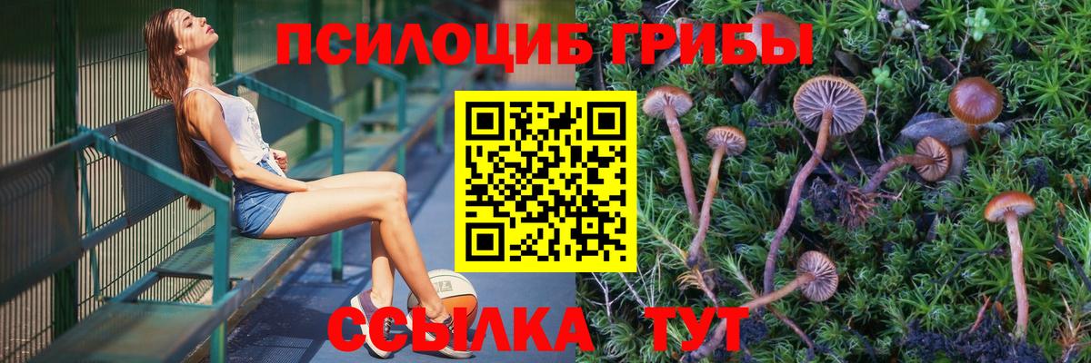 Галлюциногенные грибы ЛСД  Вход с VPN  Псилоцибиновые грибы GOLDEN TEACHER  купить наркотики цена  Якутск 