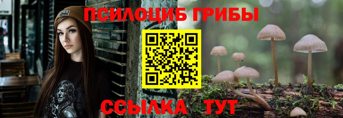 Псилоцибиновые грибы Cubensis Якутск